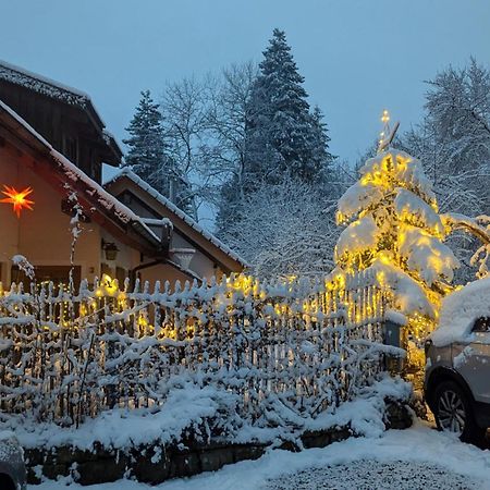 Gemuetliche Waldrandlage In Badenweiler Sehringen Ferienwohnung Kültér fotó