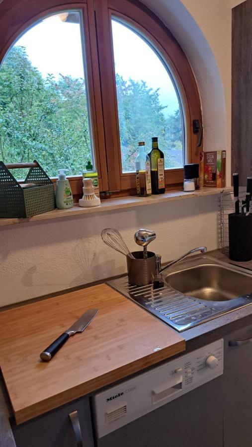 Gemuetliche Waldrandlage In Badenweiler Sehringen Ferienwohnung Kültér fotó