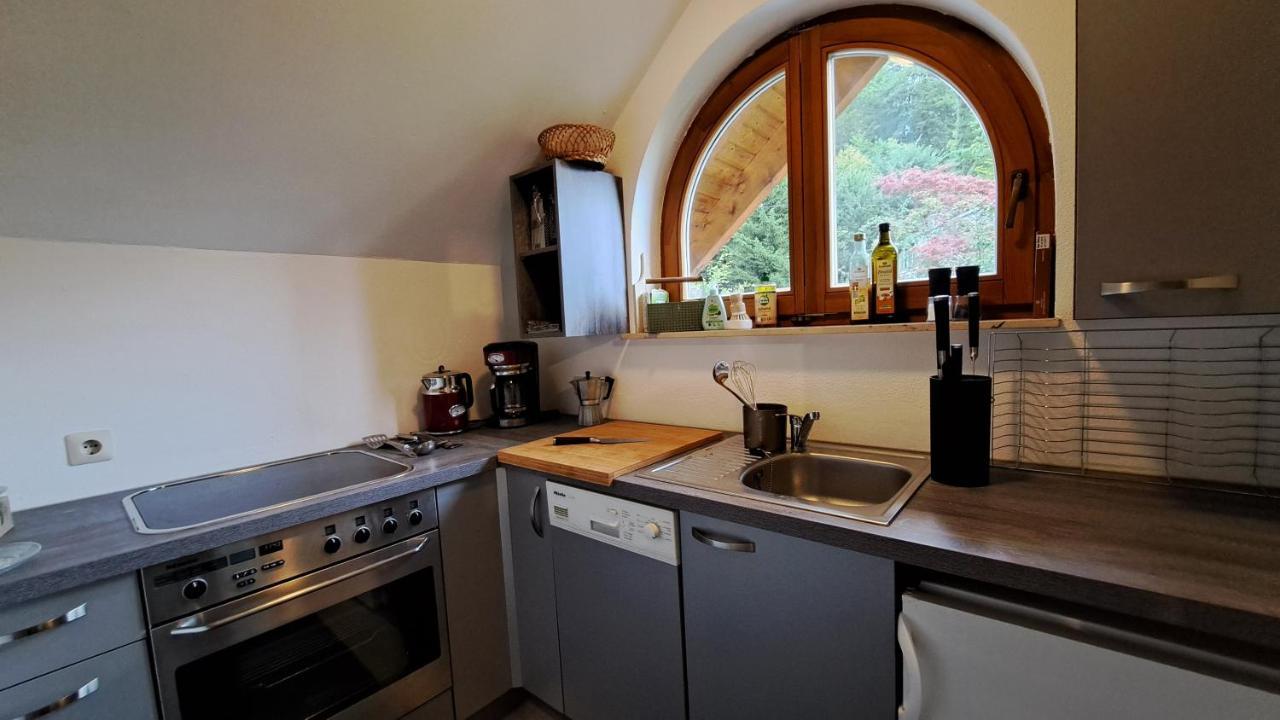 Gemuetliche Waldrandlage In Badenweiler Sehringen Ferienwohnung Kültér fotó