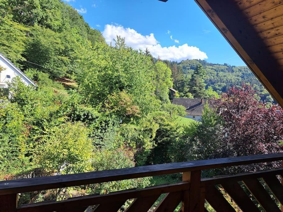 Gemuetliche Waldrandlage In Badenweiler Sehringen Ferienwohnung Kültér fotó