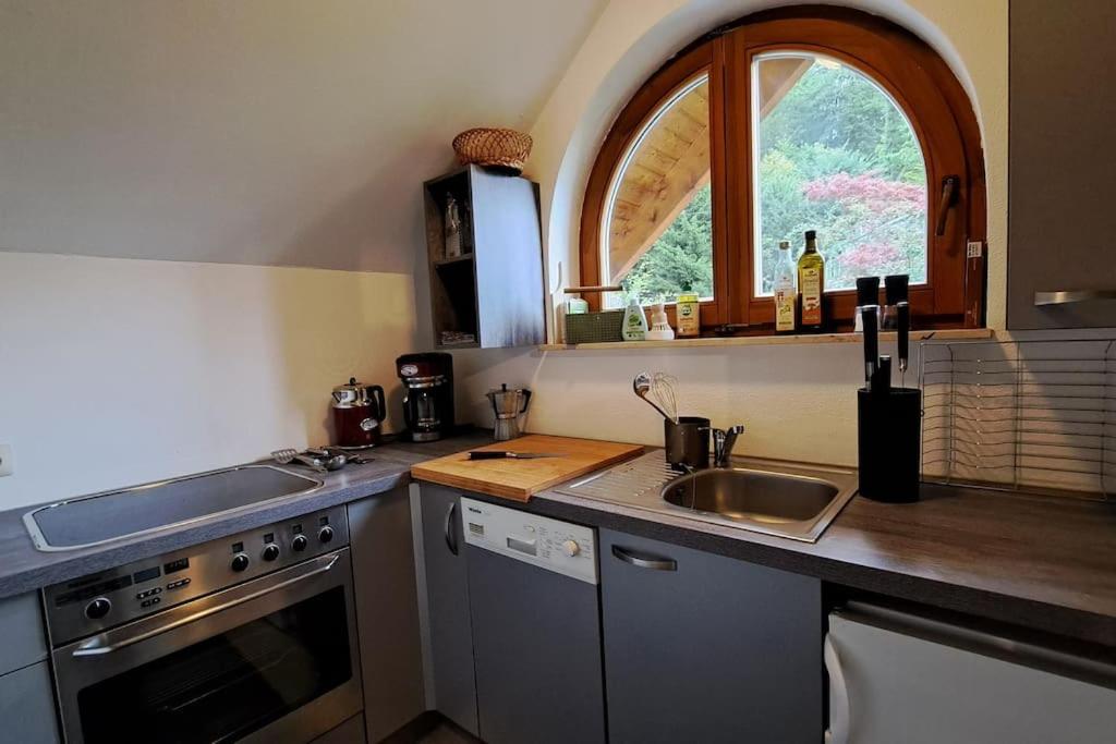 Gemuetliche Waldrandlage In Badenweiler Sehringen Ferienwohnung Kültér fotó