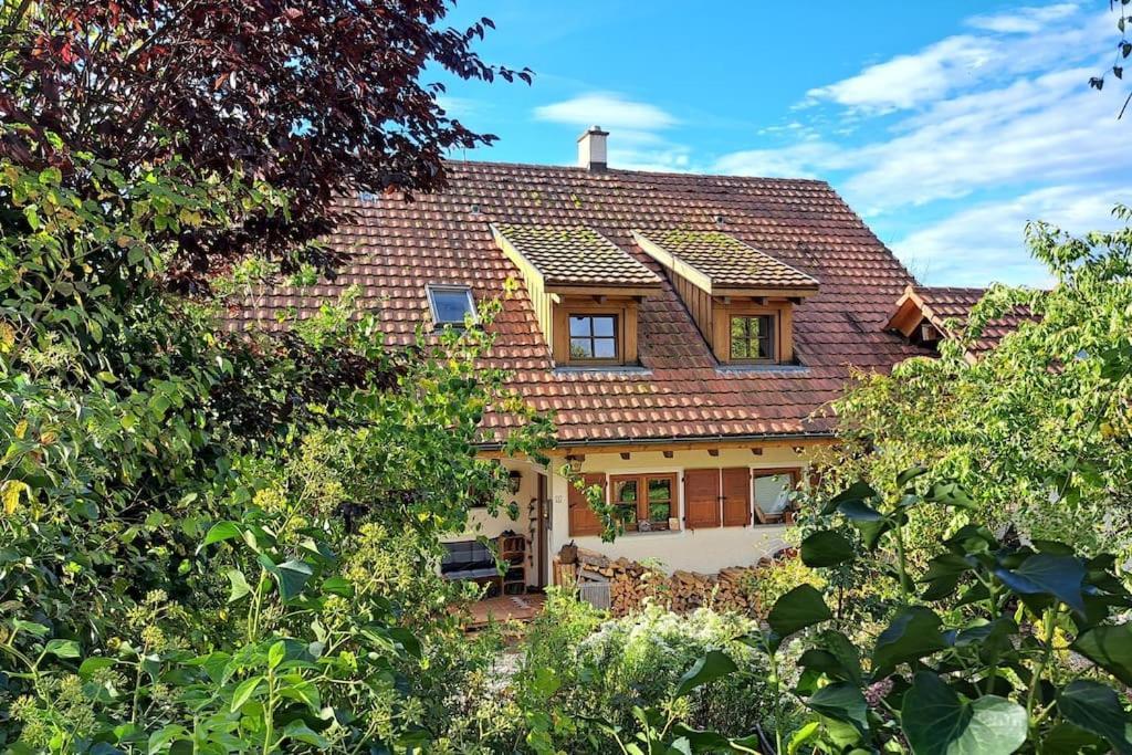 Gemuetliche Waldrandlage In Badenweiler Sehringen Ferienwohnung Kültér fotó
