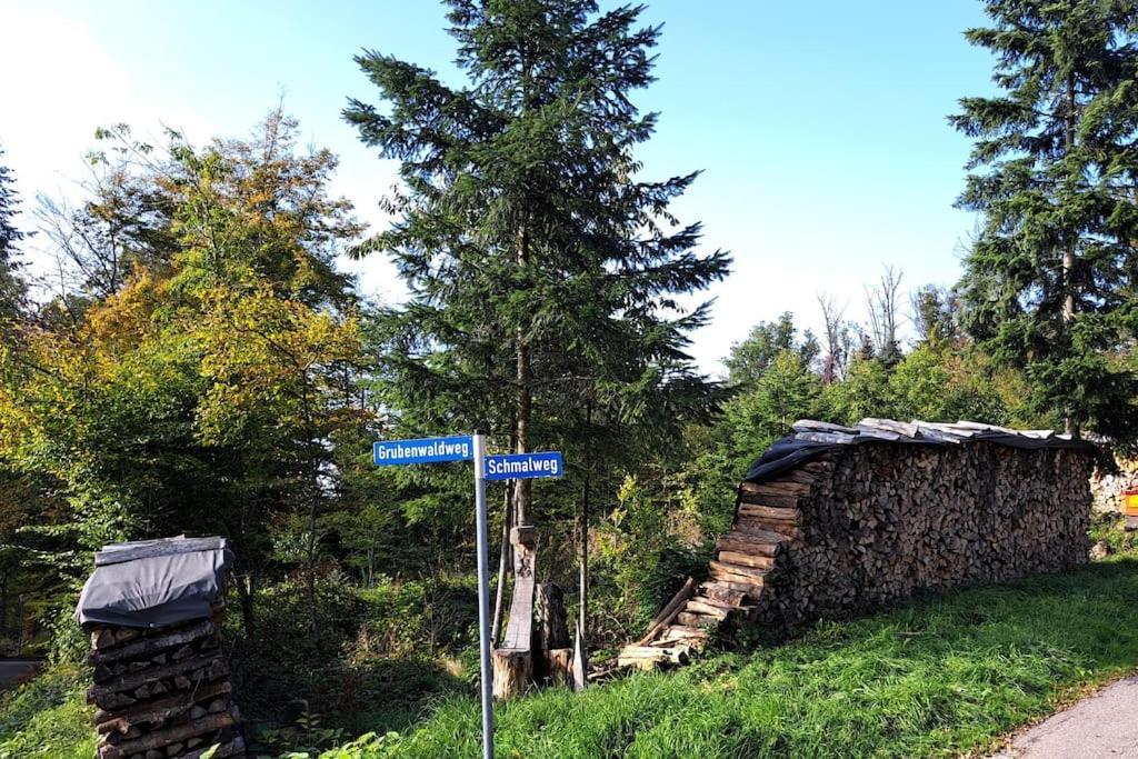 Gemuetliche Waldrandlage In Badenweiler Sehringen Ferienwohnung Kültér fotó