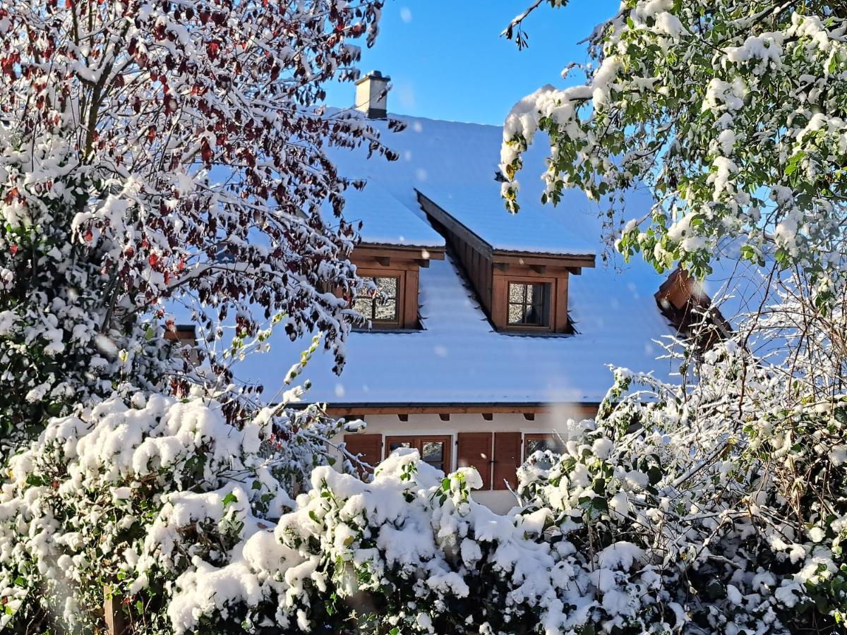 Gemuetliche Waldrandlage In Badenweiler Sehringen Ferienwohnung Kültér fotó