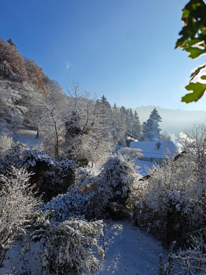 Gemuetliche Waldrandlage In Badenweiler Sehringen Ferienwohnung Kültér fotó