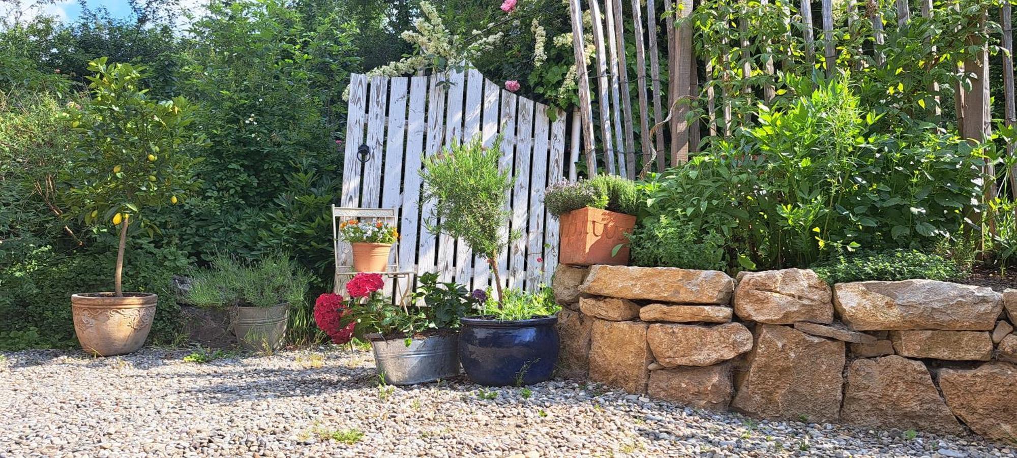 Gemuetliche Waldrandlage In Badenweiler Sehringen Ferienwohnung Kültér fotó