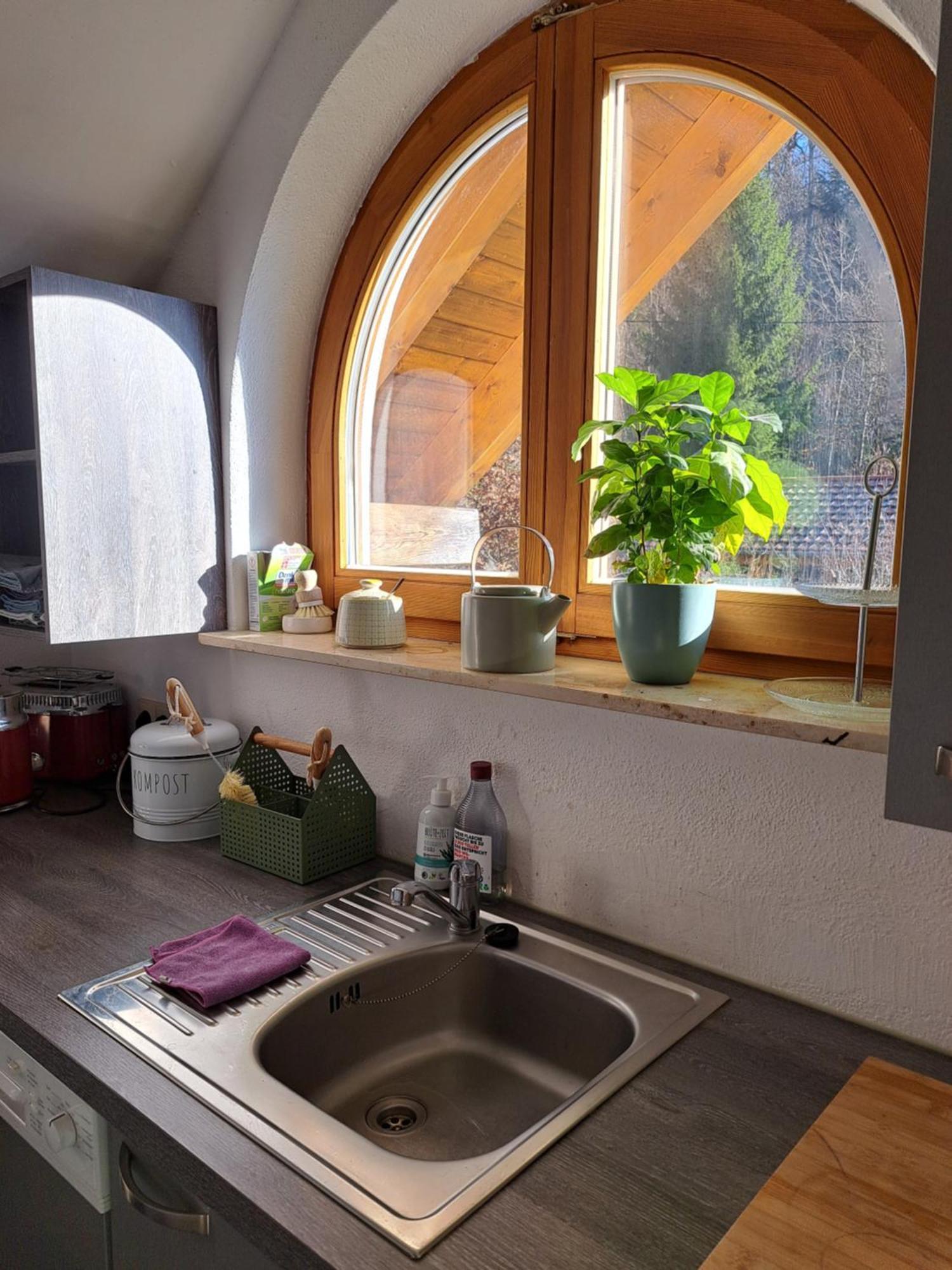 Gemuetliche Waldrandlage In Badenweiler Sehringen Ferienwohnung Kültér fotó